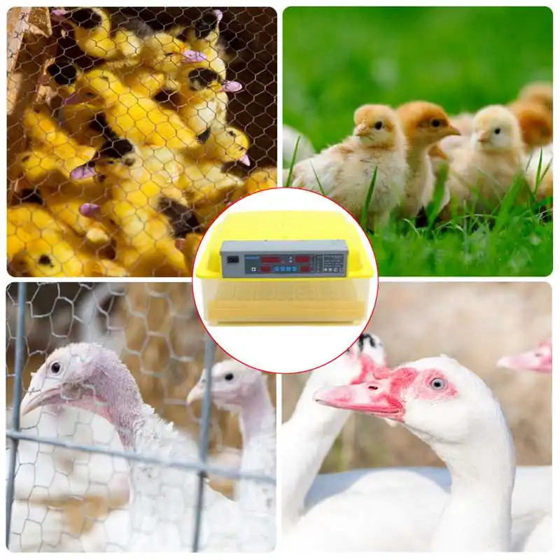 

220V Eggs Incubator Brooder Bird Quail Chick Hatcher Automatic Incubator Poultry Hatcher Turner Farm Automatic Incubation Tools