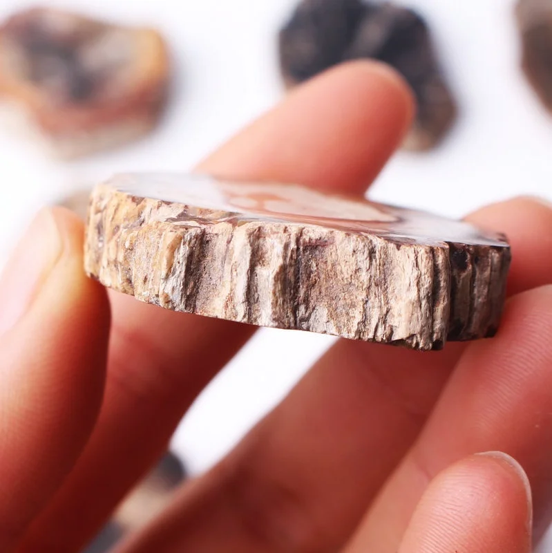 1 шт. натуральное дерево минерал образец для домашнего декора полированный