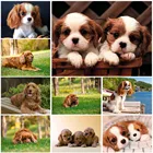 Алмазная живопись для домашних животных, сделай сам, кокер-спаниель, король, Чарльз, собака, алмазная вышивка, трехмерная стена, украшение для дома 5D