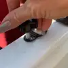 Изображение товара 1