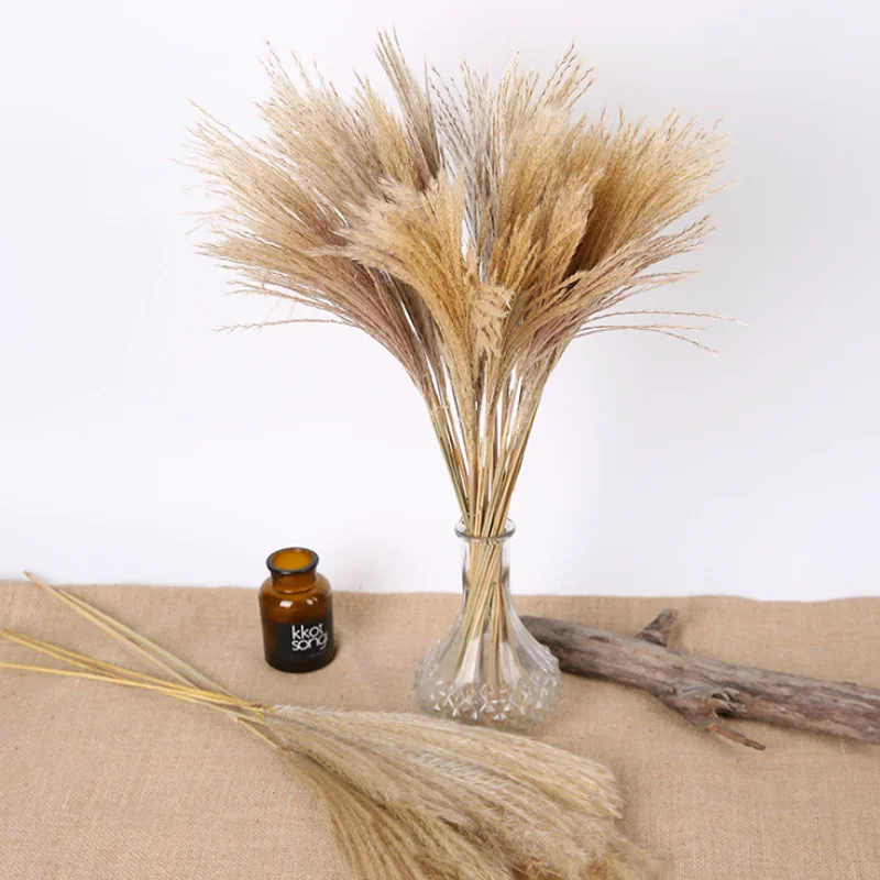 

Natural Country Wedding Pampas Dried Flower Room Decoration Teenager Party Backdrops Home Decore Cheap Natural Plants