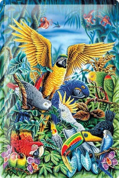 

Tin Sign Bird Parrots Metal Plate Home Decor Coffee Bar Decoration