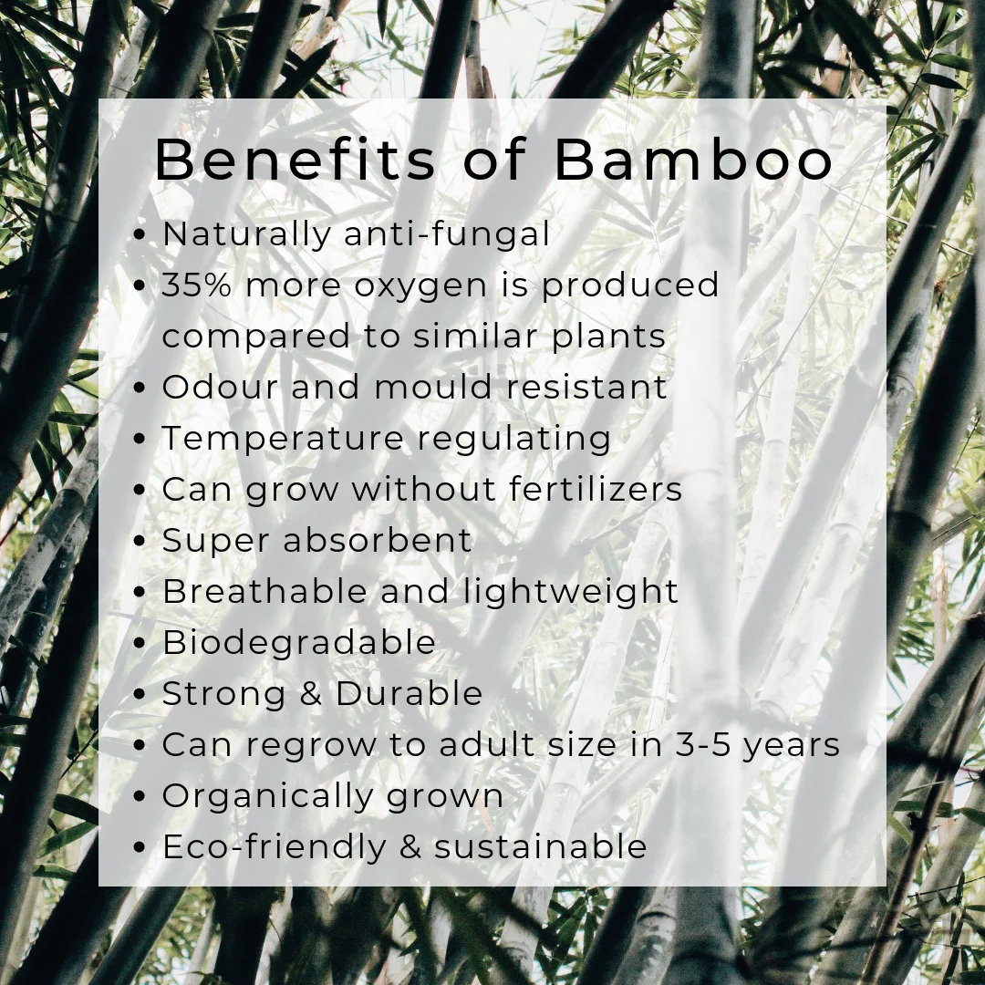 ExiuBro Радужная щетина безвеганская бамбуковая зубная щетка плоская ручка