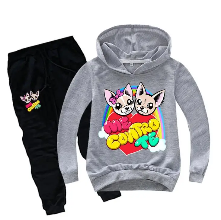 Детский спортивный костюм из двух предметов толстовка с капюшоном и штаны |