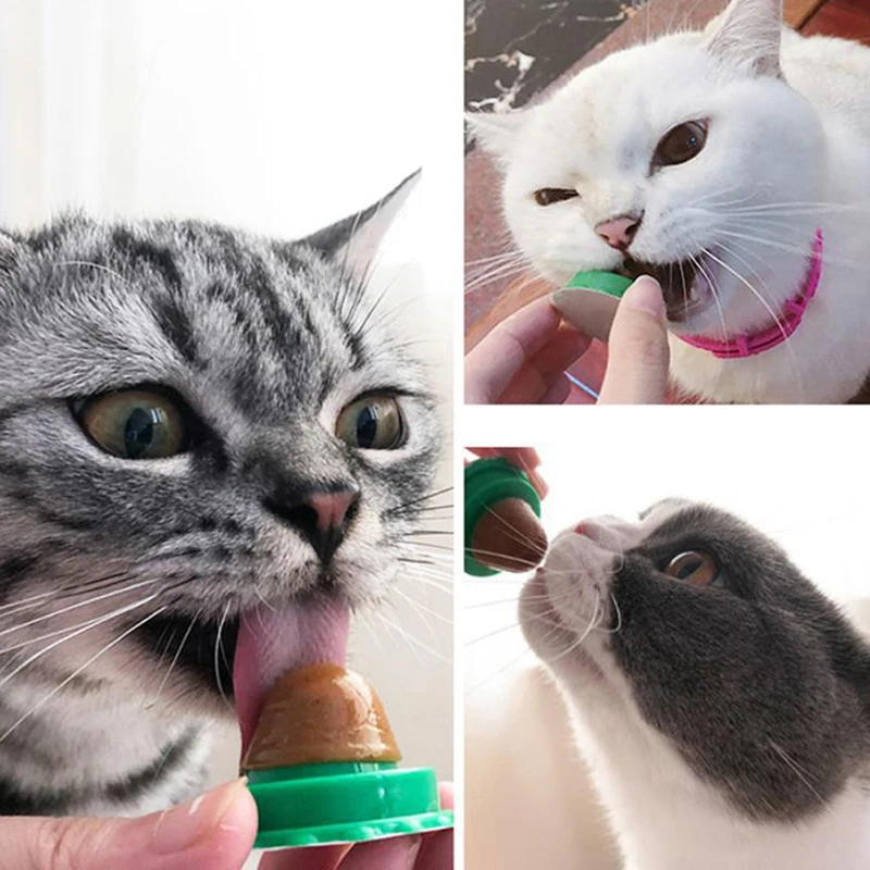 Snacks nutritivos para gatos y mascotas, 5 uds.-5