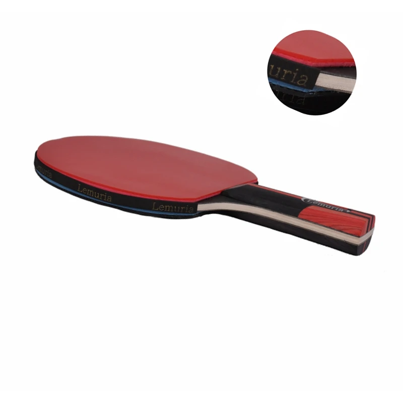 

Lemuria 2Pcs Table Tennis Racket Set Double Face Pimples-in Rubber Lightweight Powerful Ping Pong Paddle Bat with Good Control