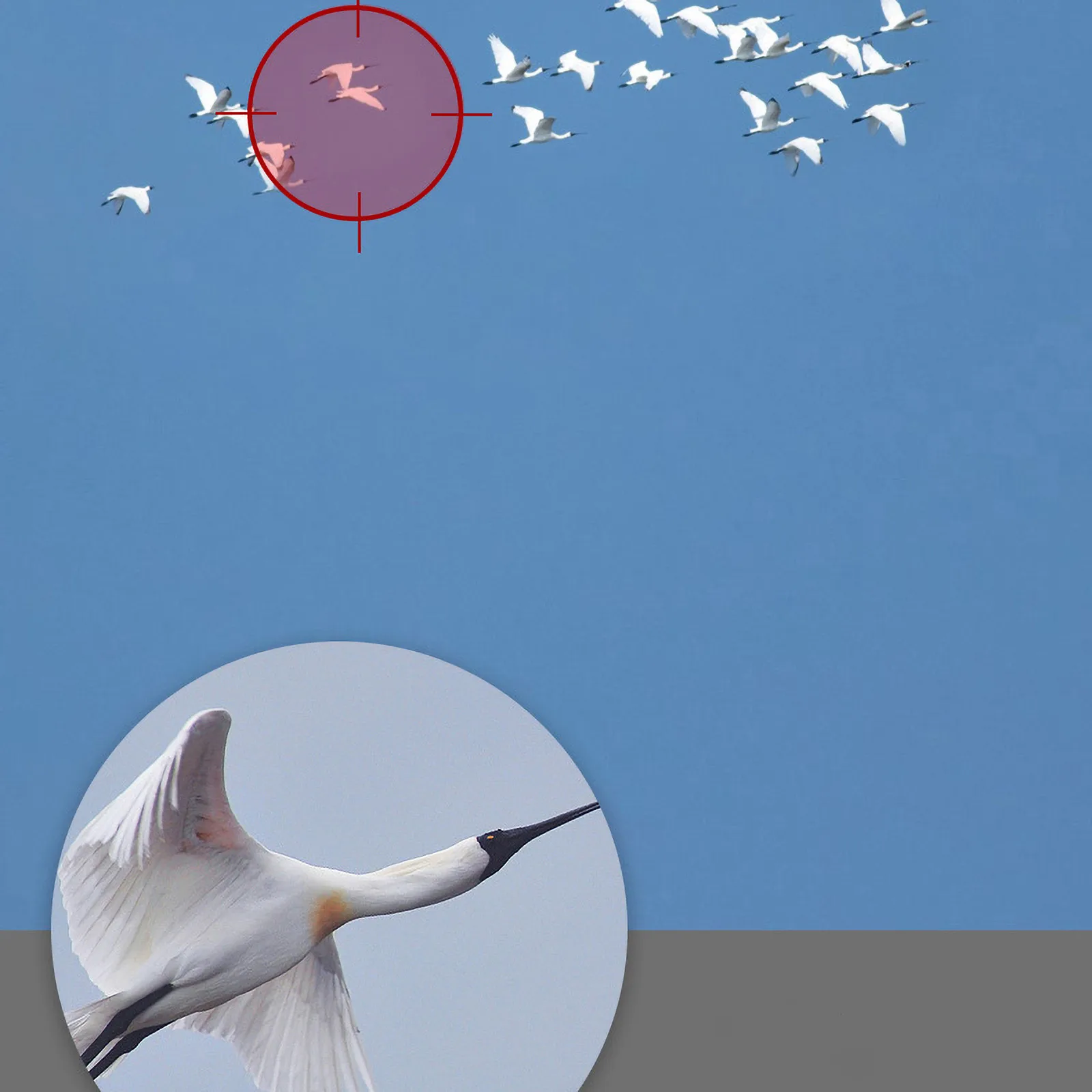 

Telescope Portable Monocular HD Night Vision Low Light Outdoor Telescope Mobile Phone telescopio binoculars