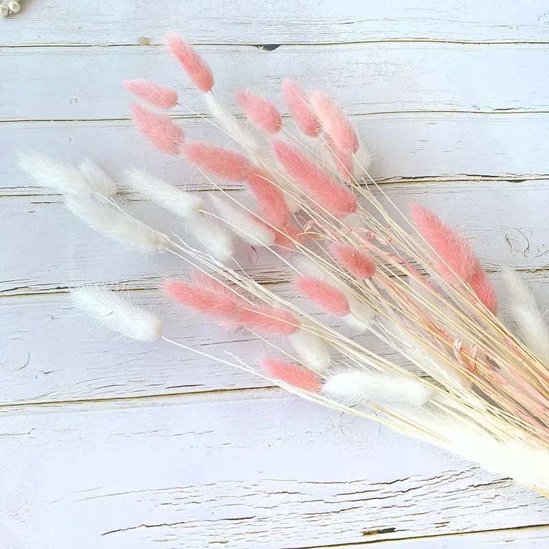 

30pcs Wedding Decoration Pampas Rabbit Tail Grass Artificial Plants Home Natural Dried Flowers Decor Herbe Be La Pampa Wholesale