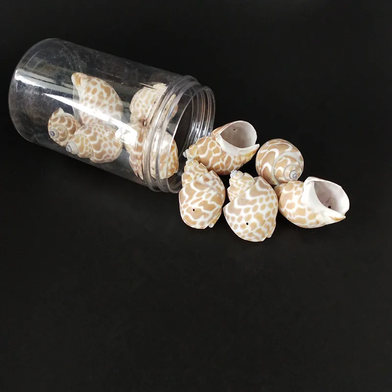

1Box Natural Spiral holes Shell For Handmade Scrapbooking Crafts One Hole Sea Shells DIY Home Decoration