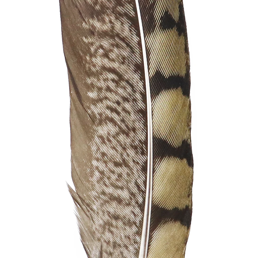 Натуральные перья фазана 15-20 см окрашенные петушиные для рукоделия украшения