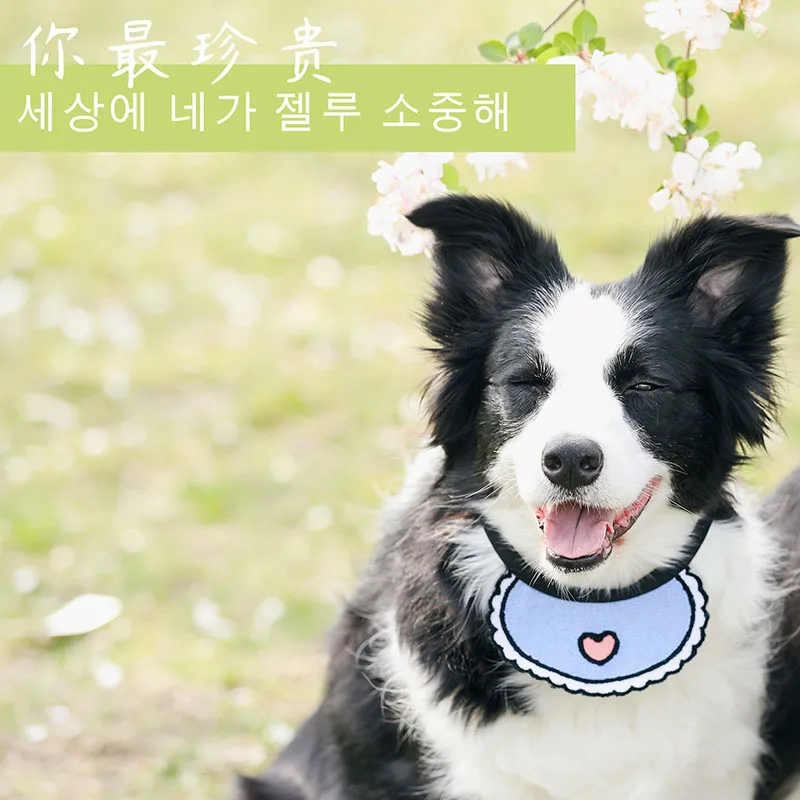 2020 аксессуары для хот-догов регулируемые нагрудники собак Галстук ухода за