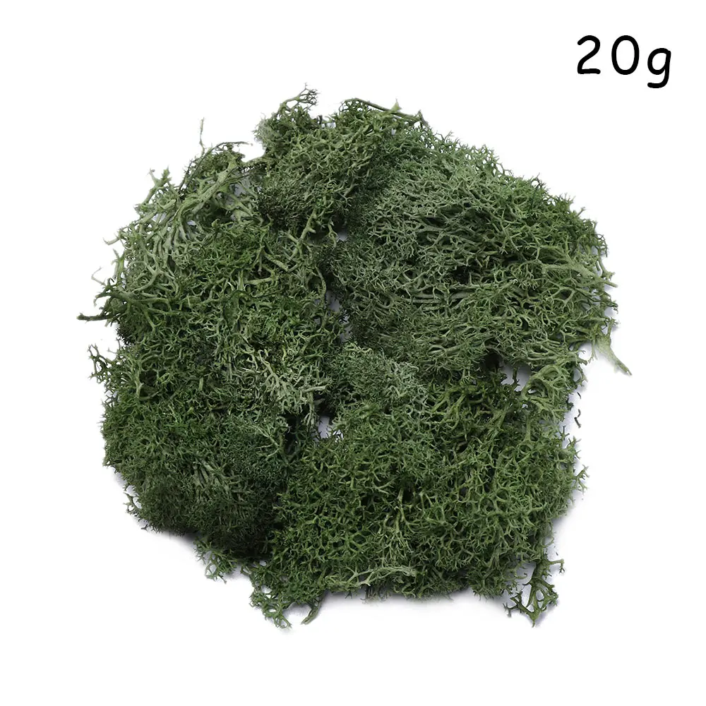 Light green Микро пейзаж натуральный норвежский олень мох предварительно просушенный искусственный цветок Stamen Свадебные украшения DIY украшения дома - Цвет: Light green