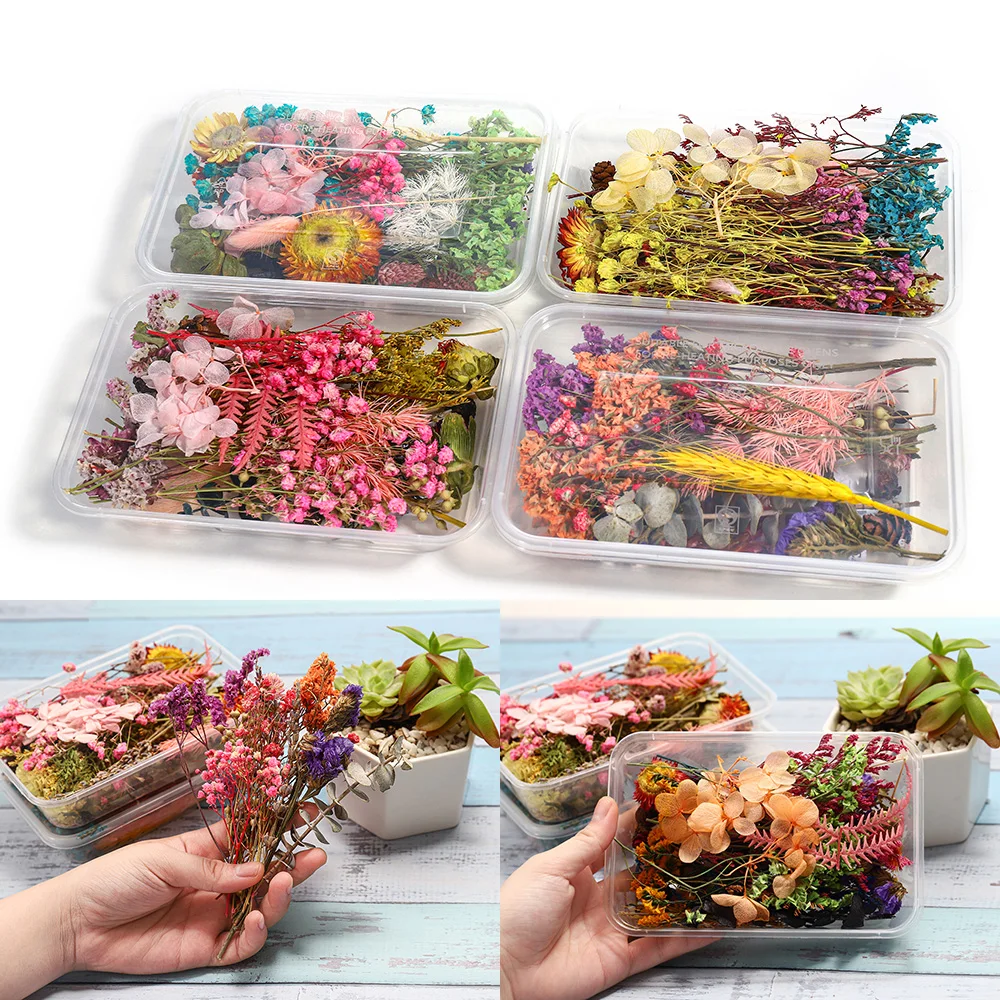 1 Box Random Real Dried Flower Resin Mold Fillings UV Expoxy Flower For Epoxy Resin Molds Jewelry Making Craft DIY Accessories