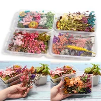 1 box random real dried flower resin mold fillings uv expoxy flower for epoxy resin molds jewelry making craft diy accessories