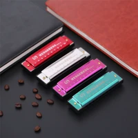 titanium copper core 10 hole 20 tone blues harmonica student children playing puzzle orff musical instrument toy c key