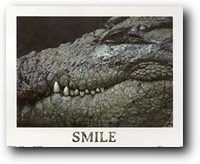 smiley face crocodile wall decor alligator wild animal picture art print poster 8x12