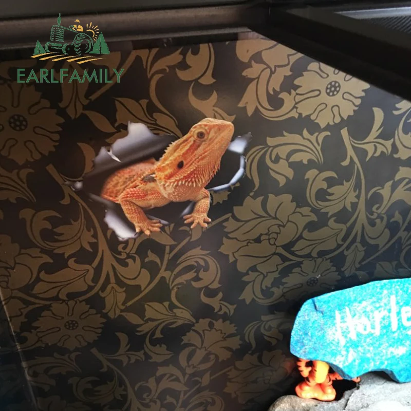 EARLFAMILY 13 см x 8 7 Автомобильная наклейка с изображением медвежьего дракона рваная