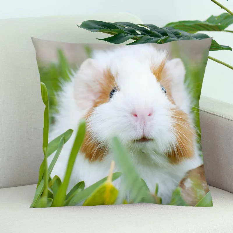 Новое поступление свинки накидка для подушки Спальня дома или офиса