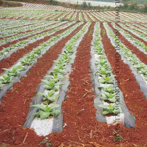 Пленка для садовых растений 5 м, белая и черная пленка для пластик пленка для мульчирование растений, растений, борьбы с вредителями, согревания
