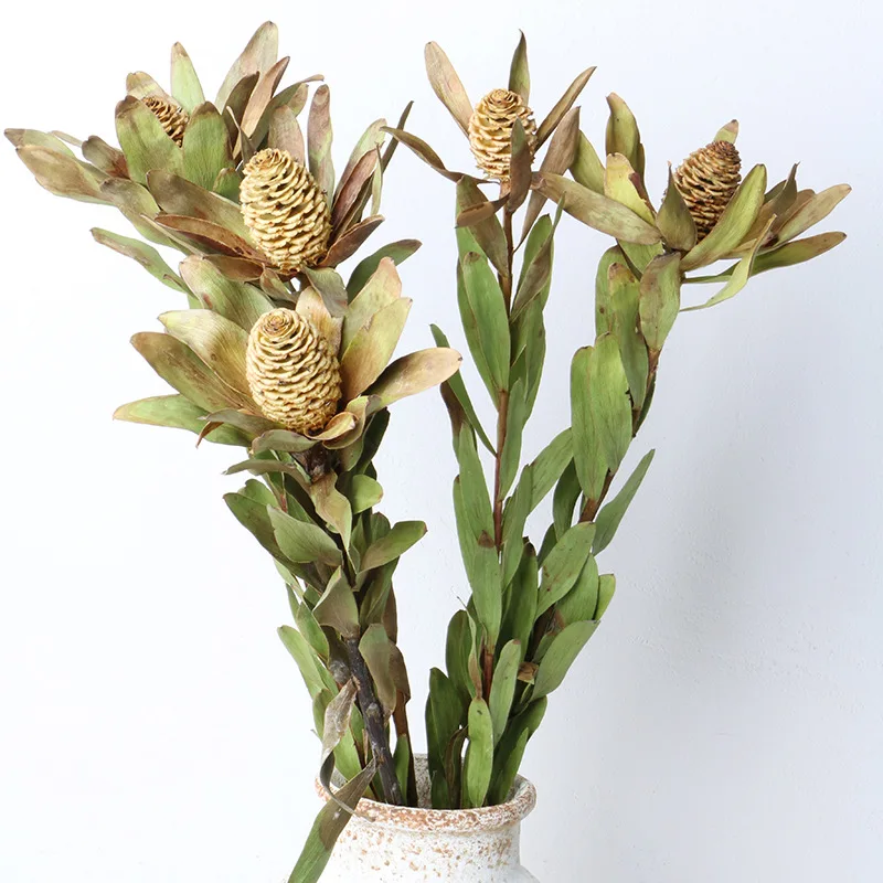 

Home Fleurs Arrangement Wood Lily Dried Flowers Plants Accessories Natural Air-Dried Kwiaty Cafe Homestay Soft Decoration