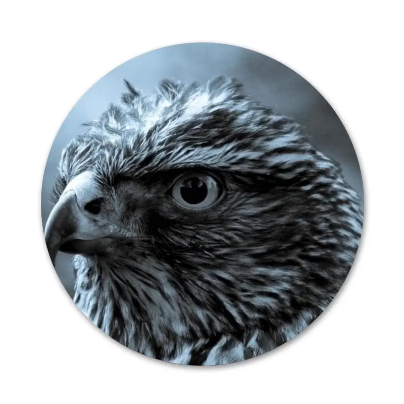 

Eagle Badge Brooch Pin Accessories For Clothes Backpack Decoration gift 58mm