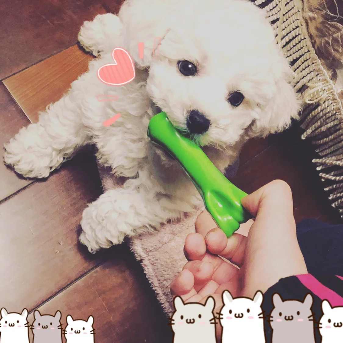 Игрушки для собак зубная щетка домашних питомцев жевательные игрушки удаления