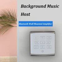 bluetooth amplifier audio wall mounted power amplifier mini amplificador with usbtfaux supporting from 2 to 4 speakers
