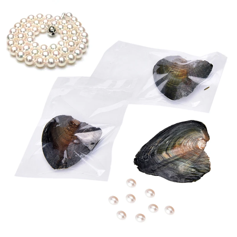 Ракушка Wish Pearl Oyster в вакуумной упаковке 7 8 мм случайный цвет/форма натуральный