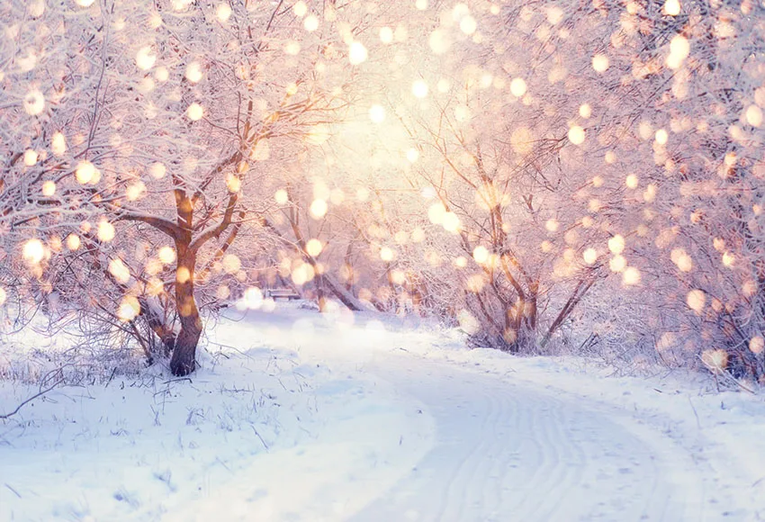 Виниловые фоны для студийной фотосъемки с изображением зимней страны чудес леса