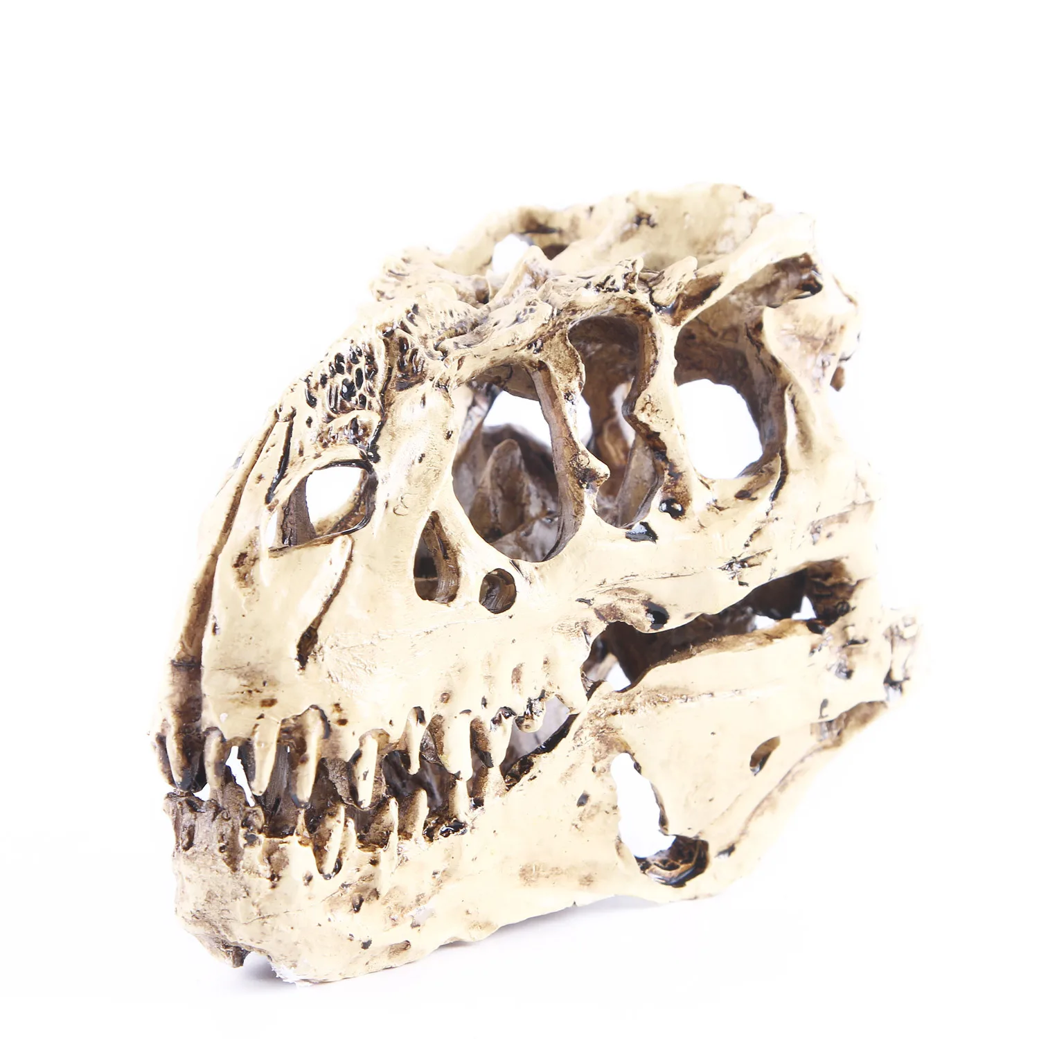 

High Precision Ceratosaurus Skull Model Rex Dinosaur Resin Fossil Skull Model Collectibles Model Figure Aquarium Ornament
