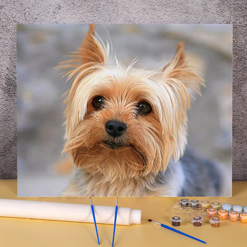 

Набор для рисования по номерам на холсте, 40 х50 цветов