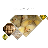 HT-1584 All-In-One Microcomputer Thermostat Hatchery Intelligent Automatic Hatcher Digital Egg Incubator Egg Hatching Machine