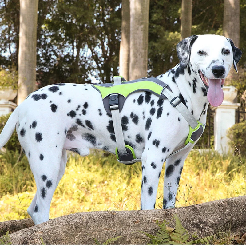 Шлейка для собак из полиэстера светоотражающая регулируемая повязка на грудь