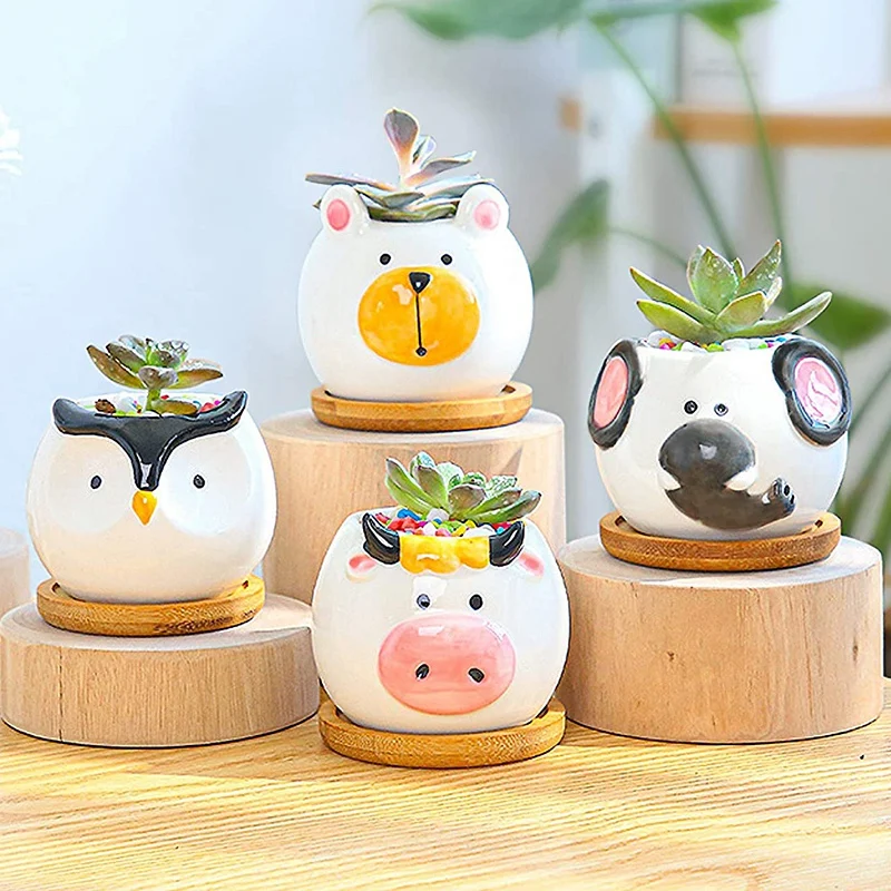 

Animal Succulent Plant Pot with Drain Hole Cactus Plant Potted Plant Potted Plant Potted Plant Suitable