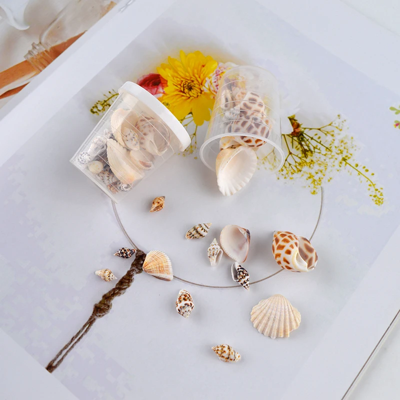 Ракушки ручной работы чистые натуральные ракушки морские звезды материал для
