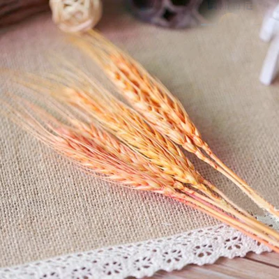 100pcs orange color 100 шт Натуральные Сушеные Цветочные букеты натуральные необработанные цвета Сушеные уши пшеничные букеты и пшеничные ушные пучки - Цвет: 100pcs orange color