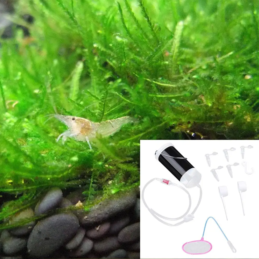 Волшебный инструмент для штриховки креветок яиц Артемия свежий