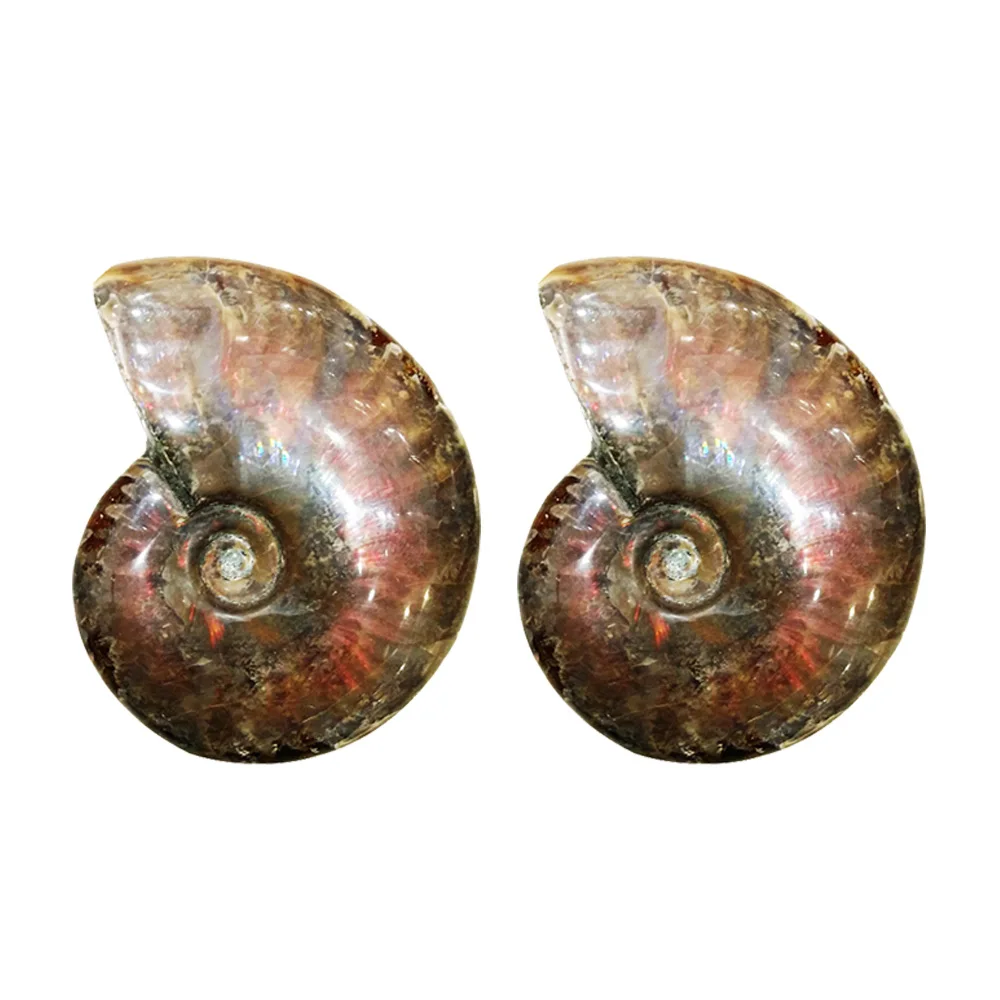 3-4 см пятнистая Улитка Fossil орнаменты естественный Радужный аммолитовый фасетный