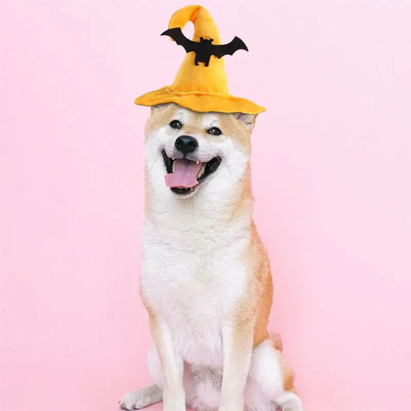 

1 Set Pet Hat Collar Halloween Pet Supplies Adjustable Cat Hat Neck Collar