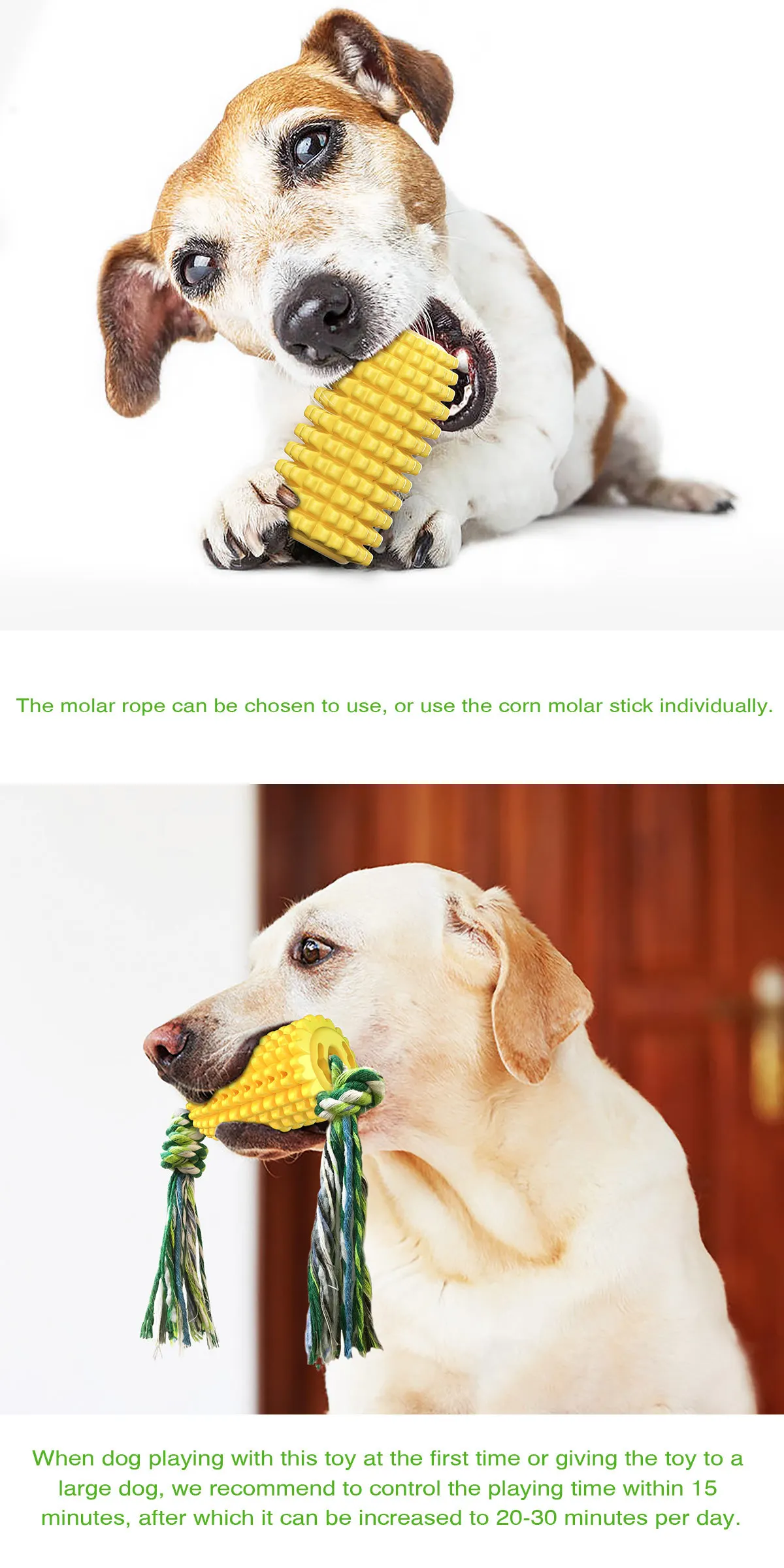 

Pet Supplies Dog Toys Molar Rod Bite-Resistant Tooth Cleaning Bone Toothbrush Corn with Rope dog toys for small dogs