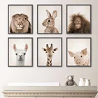 Плакаты и принты на холсте, с изображением Льва, кролика, жирафа, ламы, орангутана, для декора детской комнаты, фотографии животных на стену