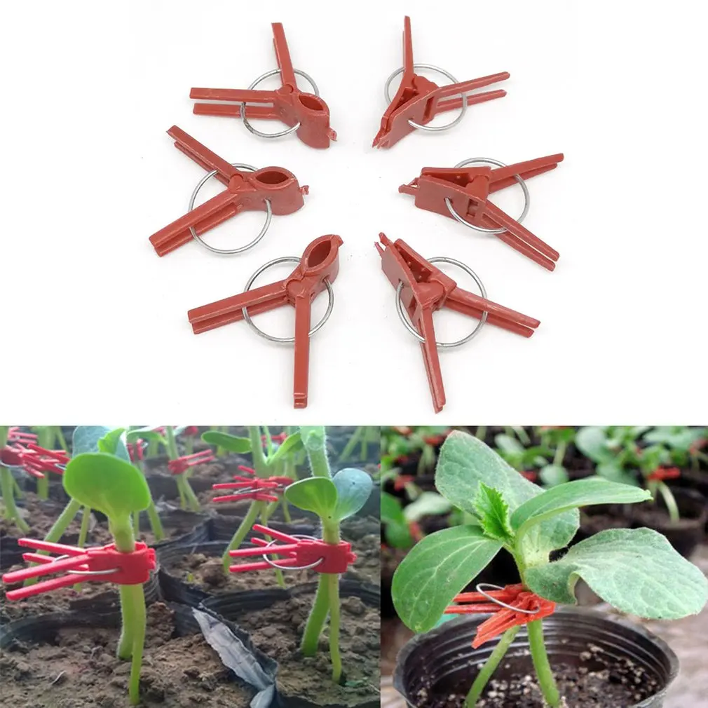 

50pcs Vegetable Grafting Clamp Cucumber Clip Watermelon Melon Grafting Clip Eggplant Grafting Plastic Clip
