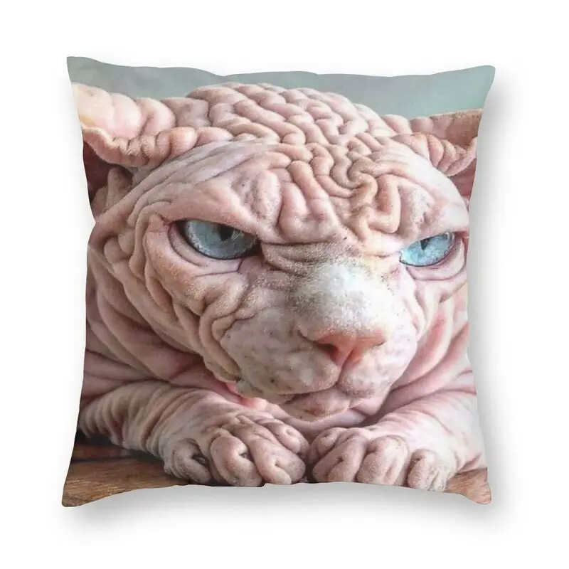 

Bingus, наволочка для подушки, украшение для дивана, квадратная наволочка с котом без волос, 45x45 см