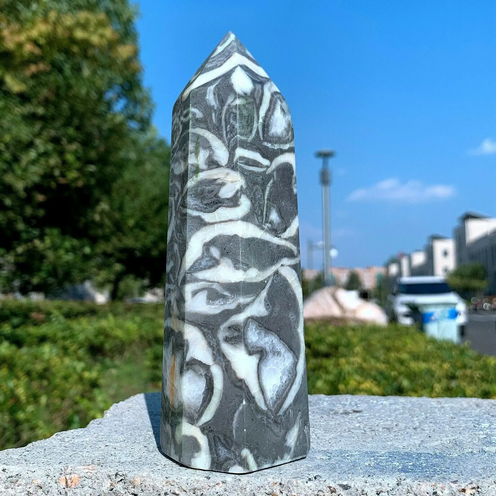 

Natural shell stone eyes jasper quartz crystal tower healing