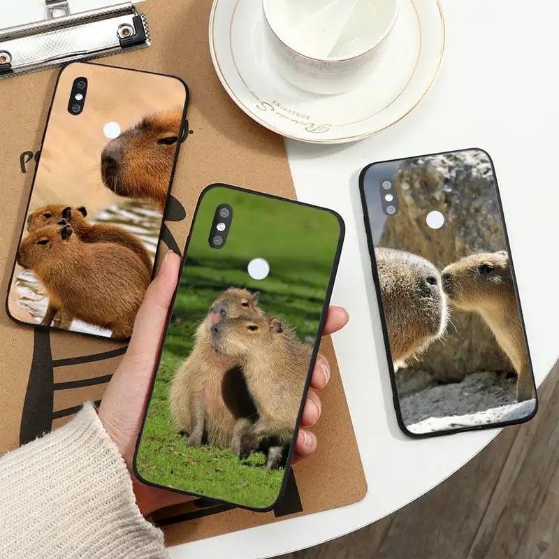 

day6 Korean boy band Phone Case For Xiaomi Redmi note 7 8 9 t max3 s 10 pro lite funda cover coque shell