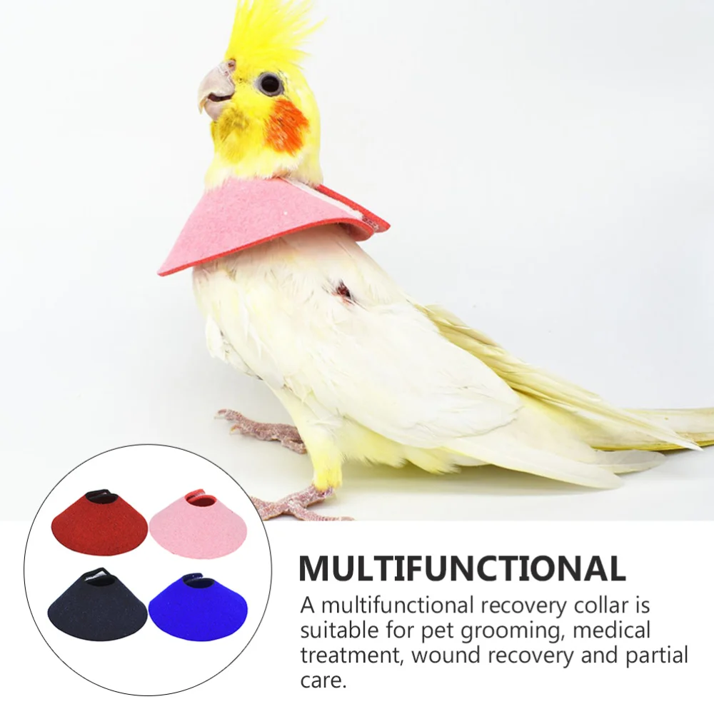 

4pcs Small Birds Neck Ring Parrots Anti-Scratch Recovery Collar (Mixed Color)
