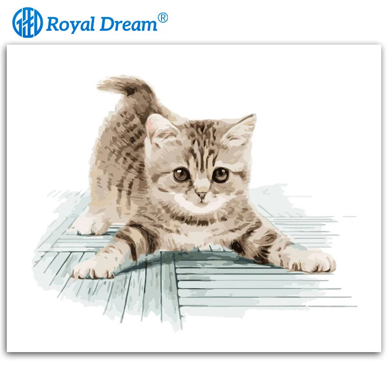 ROYALDREAM милый кот животные DIY Искусство роспись по номерам современное настенное