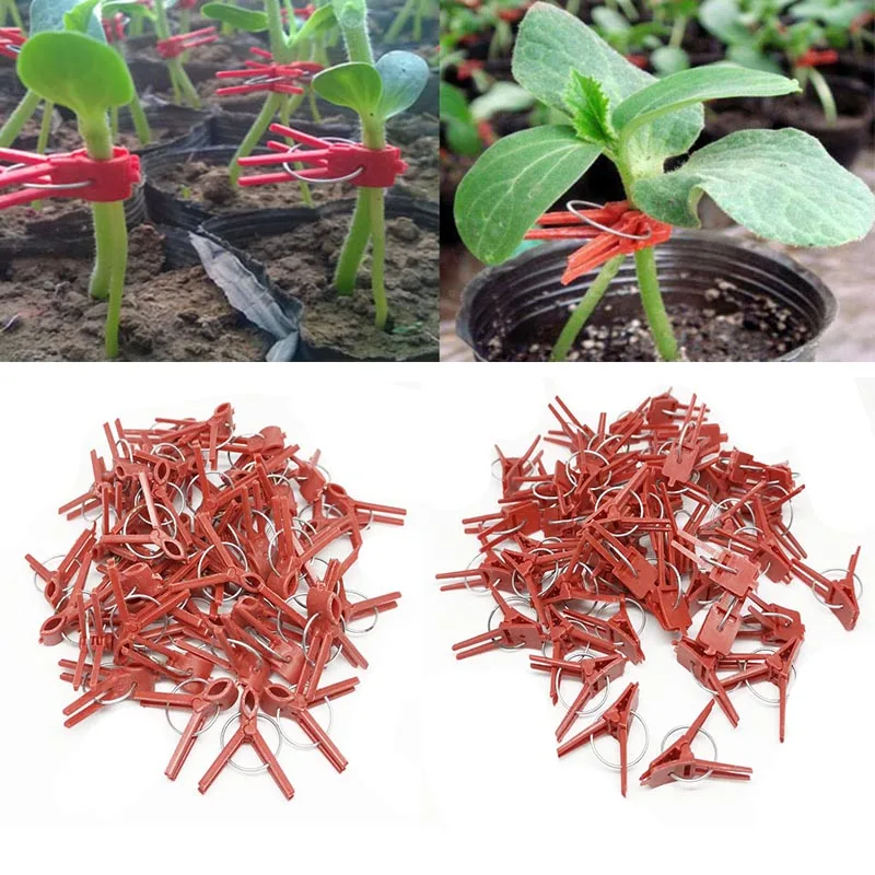

50pcs Plastic grafting Graft clip Garden Plant Support Vegetable Flower Stalks Fix Grow Upright Grafting Tool Plastic Clips