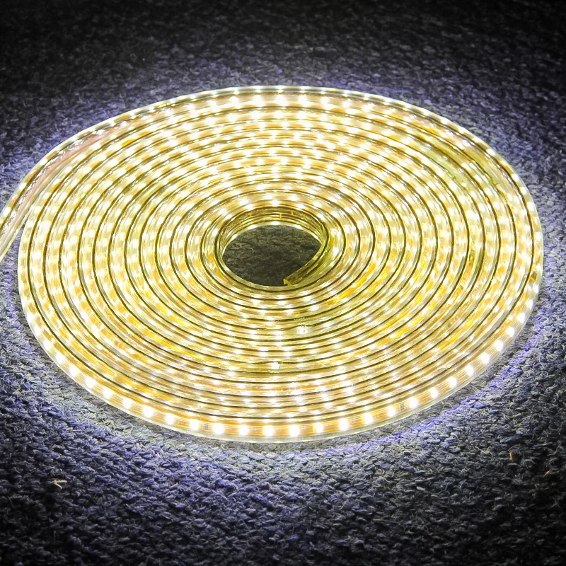 

SMD 5050 AC220V LED Strip Flexible Light 60leds/m Led Tape Light 1M 5M 10M 20M Waterproof LED Ribbon With Power Plug Home Decor