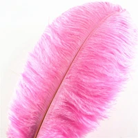 50pcslot pink ostrich feathers for crafts plumas 15 70cm feathers ostrich plumes wedding feather decoration carnaval assesoires